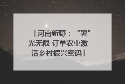 河南新野：“薯”光无限 订单农业激活乡村振兴密码