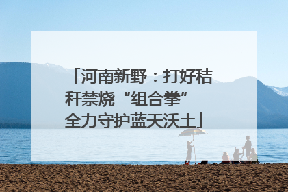 河南新野：打好秸秆禁烧“组合拳” 全力守护蓝天沃土