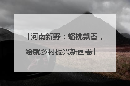 河南新野：蟠桃飘香，绘就乡村振兴新画卷