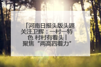 河南日报头版头题关注卫辉：一村一特色 村村有看头 ︳聚焦“两高四着力”·一“县”观察