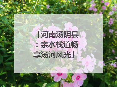 河南汤阴县：亲水栈道畅享汤河风光