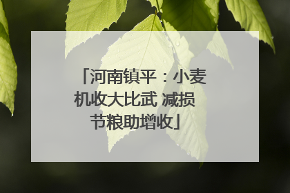 河南镇平：小麦机收大比武 减损节粮助增收