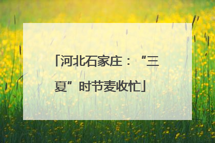 河北石家庄：“三夏”时节麦收忙