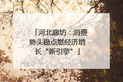 河北廊坊：消费势头稳点燃经济增长“新引擎”