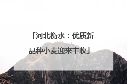 河北衡水：优质新品种小麦迎来丰收