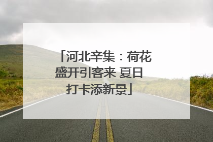 河北辛集：荷花盛开引客来 夏日打卡添新景