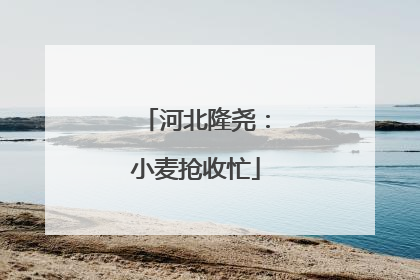 河北隆尧：小麦抢收忙