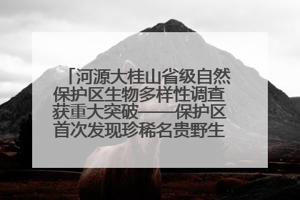 河源大桂山省级自然保护区生物多样性调查获重大突破——保护区首次发现珍稀名贵野生干巴菌与钝尾两头蛇