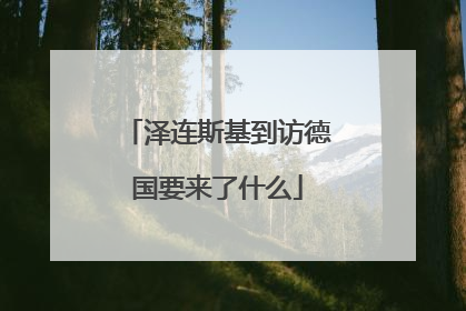 泽连斯基到访德国要来了什么