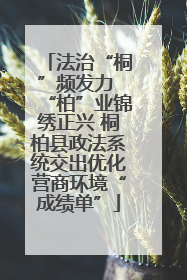 法治“桐”频发力 “柏”业锦绣正兴 桐柏县政法系统交出优化营商环境“成绩单”