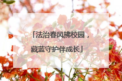 法治春风拂校园，藏蓝守护伴成长