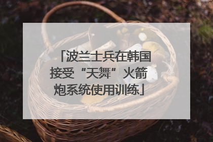 波兰士兵在韩国接受“天舞”火箭炮系统使用训练