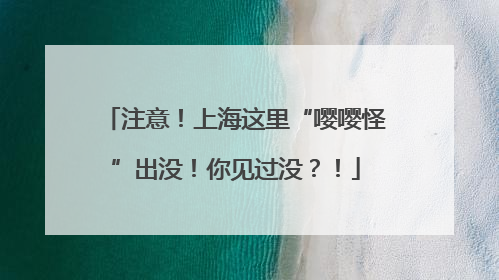 注意！上海这里“嘤嘤怪”出没！你见过没？！