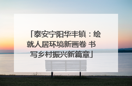 泰安宁阳华丰镇：绘就人居环境新画卷 书写乡村振兴新篇章