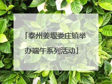 泰州姜堰娄庄镇举办端午系列活动