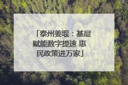 泰州姜堰：基层赋能数字提速 惠民政策进万家