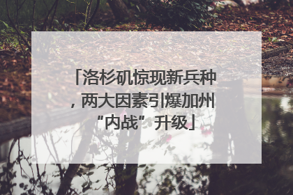 洛杉矶惊现新兵种，两大因素引爆加州“内战”升级