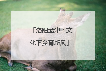 洛阳孟津：文化下乡育新风