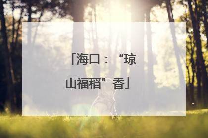 海口：“琼山福稻”香