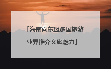 海南向东盟多国旅游业界推介文旅魅力
