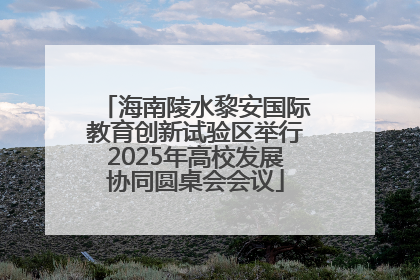 海南陵水黎安国际教育创新试验区举行2025年高校发展协同圆桌会会议