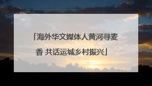 海外华文媒体人黄河寻麦香 共话运城乡村振兴
