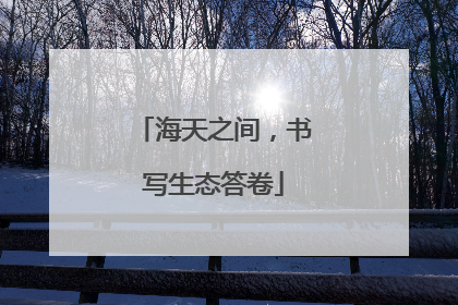 海天之间，书写生态答卷