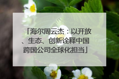 海尔周云杰：以开放、生态、创新诠释中国跨国公司全球化担当