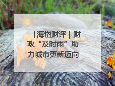 海岱财评｜财政“及时雨”助力城市更新迈向更“新”未来