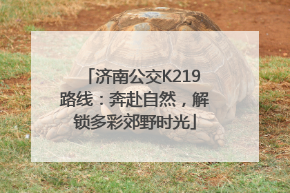 济南公交K219路线：奔赴自然，解锁多彩郊野时光