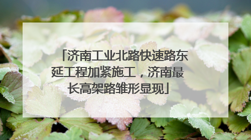 济南工业北路快速路东延工程加紧施工，济南最长高架路雏形显现