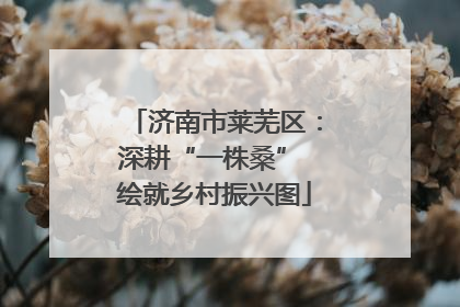 济南市莱芜区：深耕“一株桑” 绘就乡村振兴图