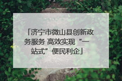 济宁市微山县创新政务服务 高效实现“一站式”便民利企
