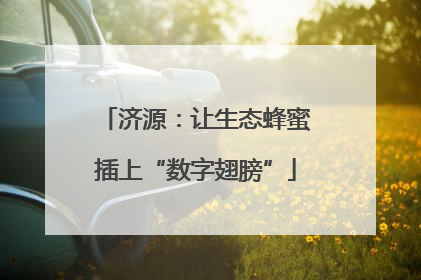 济源：让生态蜂蜜插上“数字翅膀”