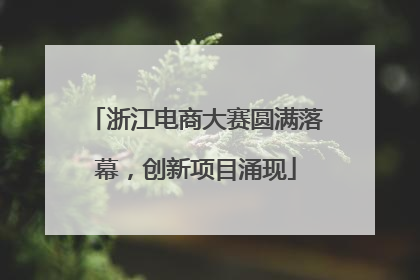 浙江电商大赛圆满落幕，创新项目涌现