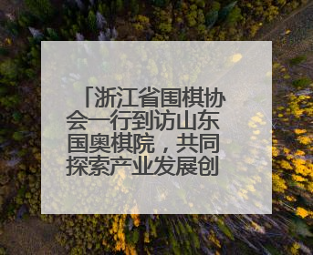 浙江省围棋协会一行到访山东国奥棋院，共同探索产业发展创新路径