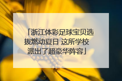 浙江体彩足球宝贝选拔燃动夏日 这所学校派出了超豪华阵容