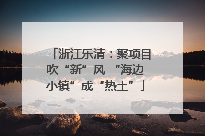 浙江乐清：聚项目吹“新”风 “海边小镇”成“热土”