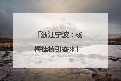 浙江宁波：杨梅挂枝引客来
