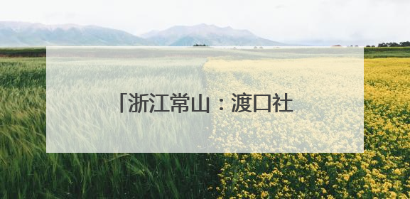浙江常山：渡口社区创新融合服务模式打造暖心为民阵地