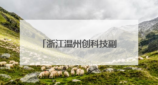 浙江温州创科技副总引才新机制 塑民企发展新优势