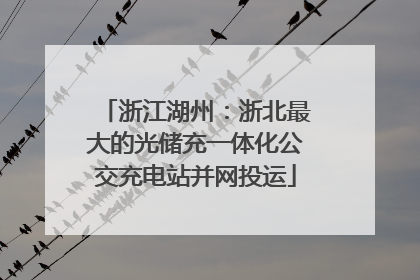 浙江湖州：浙北最大的光储充一体化公交充电站并网投运