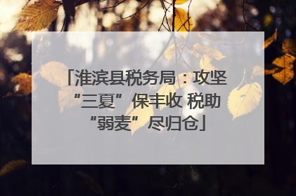 淮滨县税务局：攻坚“三夏”保丰收 税助“弱麦”尽归仓