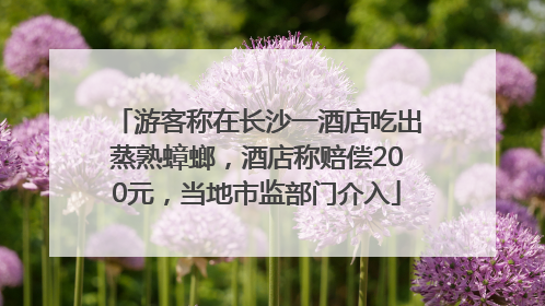 游客称在长沙一酒店吃出蒸熟蟑螂，酒店称赔偿200元，当地市监部门介入