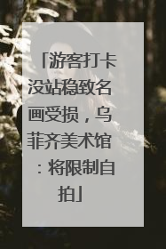 游客打卡没站稳致名画受损，乌菲齐美术馆：将限制自拍