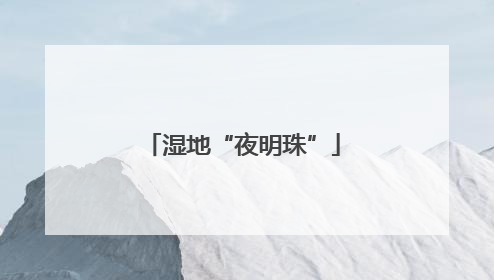 湿地“夜明珠”