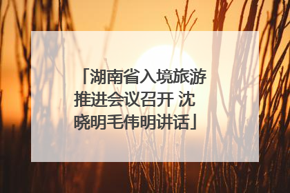 湖南省入境旅游推进会议召开 沈晓明毛伟明讲话