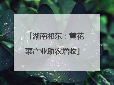 湖南祁东：黄花菜产业助农增收