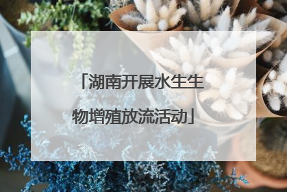 湖南开展水生生物增殖放流活动