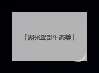 湖光鹭影生态美